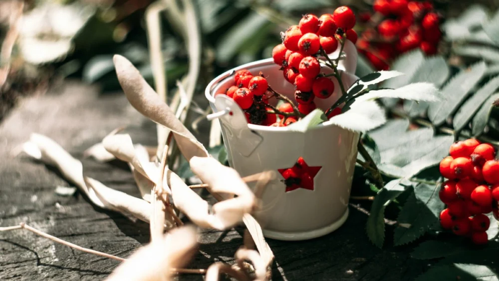 5 perfumes y fragancias para el hogar que amarás este invierno